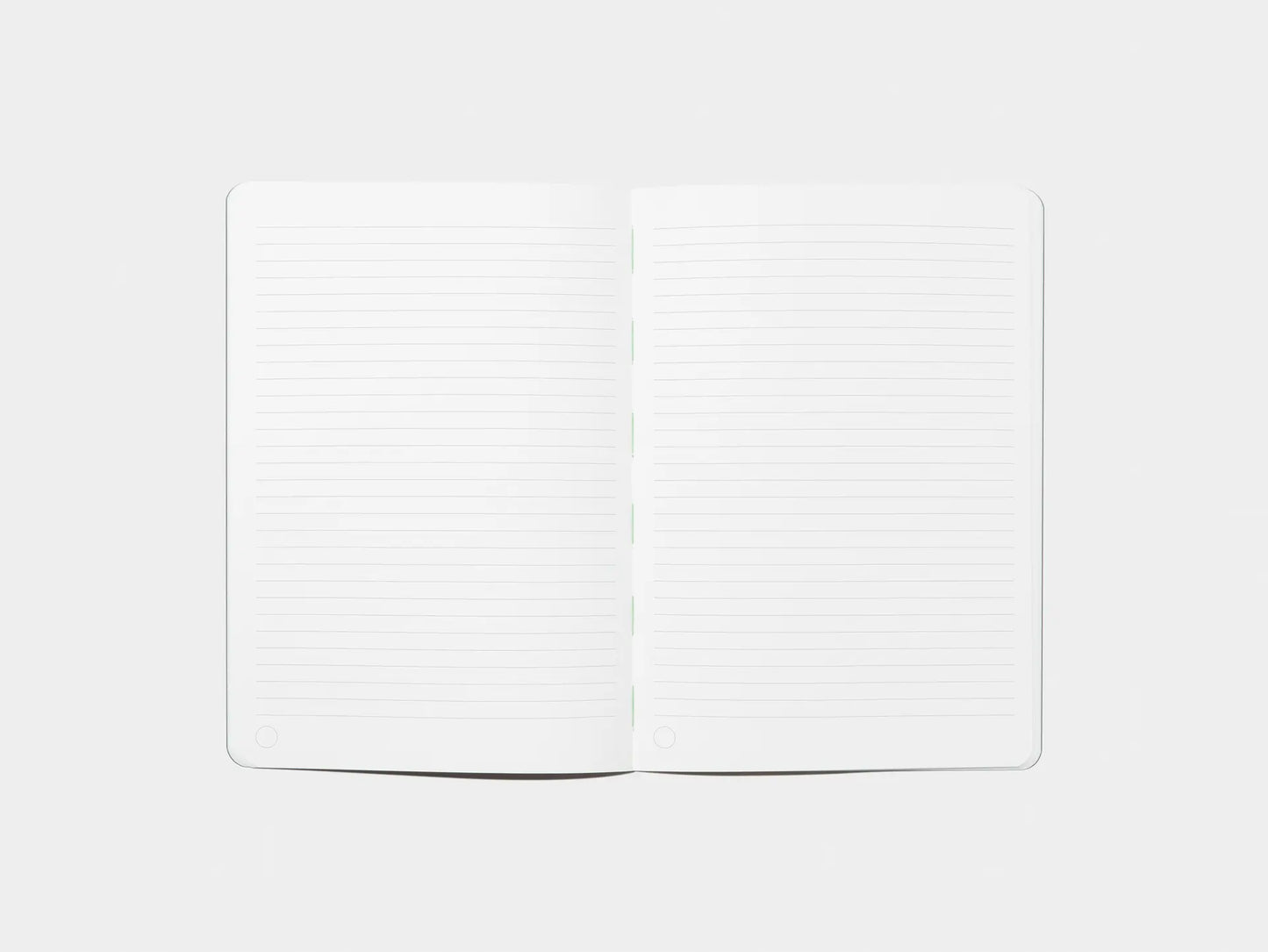 Moo Tapebound Notebook x DDC